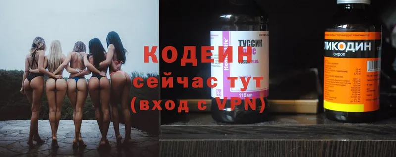 купить наркоту  гидра ССЫЛКА  Codein Purple Drank  Дагестанские Огни 